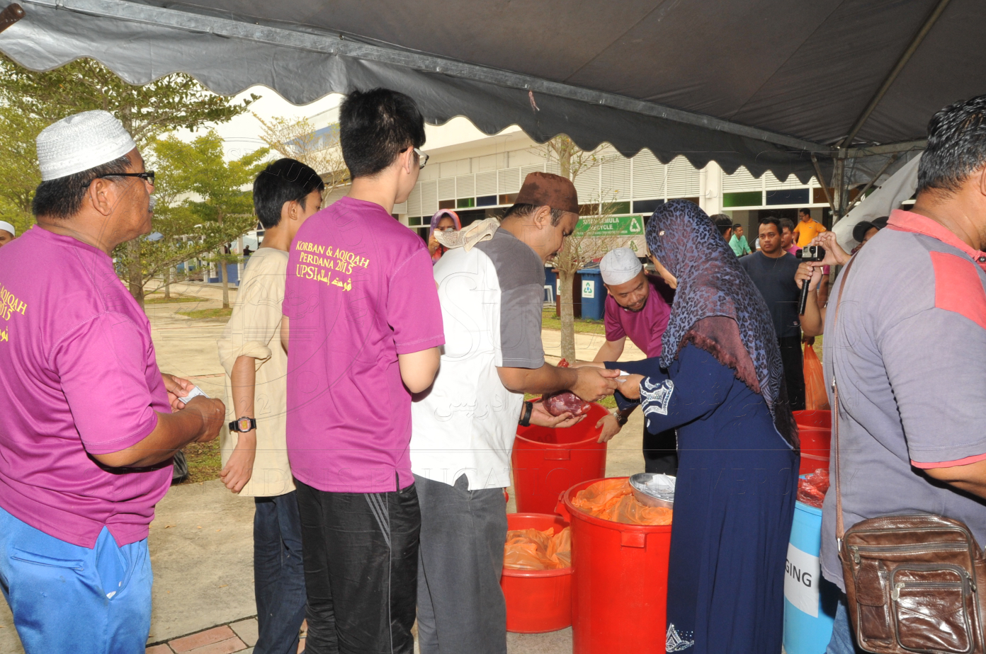 PRO15 150 KORBAN HAS 7071